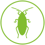 Grey Wolf Pest Control Roaches