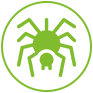 Grey Wolf Pest Control Spiders